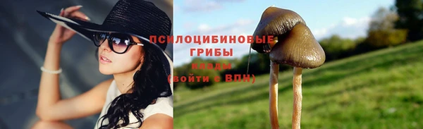 бошки Абдулино