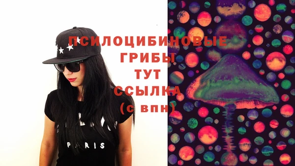 прущие крисы Абинск