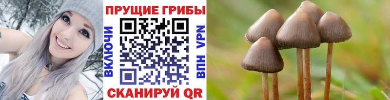 blacksprut маркетплейс Щучье Галлюциногенные грибы мухоморы купить закладку